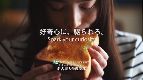 理学部紹介